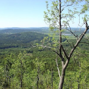 Jedlová, cestou na vrchol