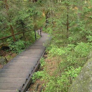 Kyjovské údolí, jedny z mnoha schodů v údolí
