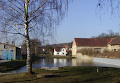 Rybník
