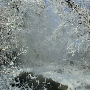 Ventaroly na Borči