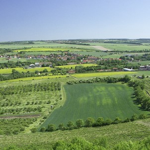 pohled na Chlumčany z Pšaňáku přes vinice