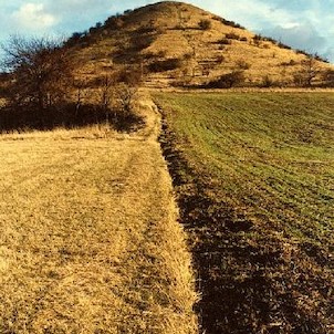 Číčov