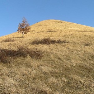 Číčov, pohled od západu