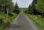 cesta na Lichtewald, pohled od silnice