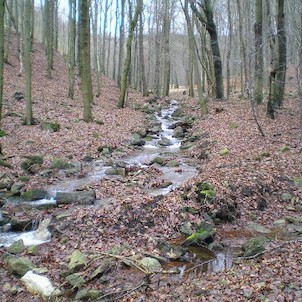 Loupnice, Hlavní potok napájející přehradu (leden 2006)