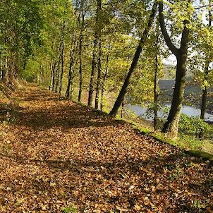 Janovská přehrada, cesta kolem přehrady