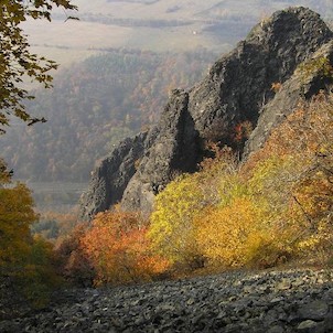 Bořeň