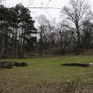 zámecký park, Bílina - zámek