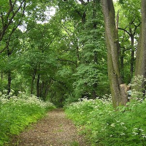 zámecký park, Bílina - zámek