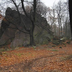 Salesiova výšina, Letohrádek