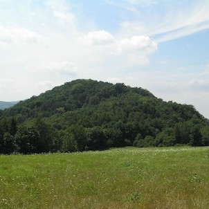 Kozí vrch, od severovýchodu ze silnice na Malšovice