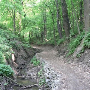Cesta podél Stříbrnického potoka