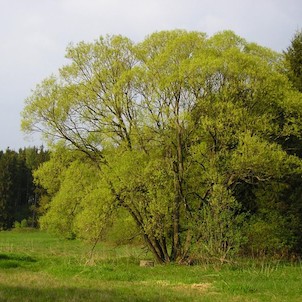 Krajina kolem Úsobí