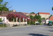 Brtnice - náměstí - hlohy v květu