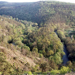 Mohelenská step-meandr řeky Jihlavy, Přírodní rezervace u Mohelna - Mohelenská hadcová step - meandr řeky Jihlavy zvaný