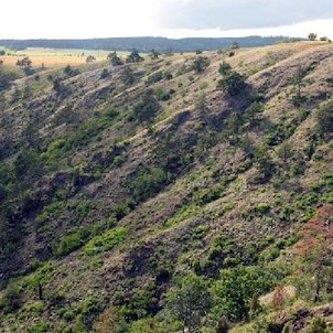 skalnaté svahy nad řekou Jihlavou