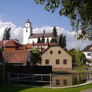 Netín