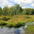 files/gallery/3340/22448.jpg