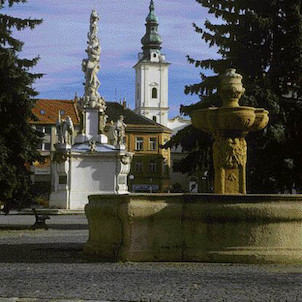 Mariánské náměstí s barokní kašnou a morovým sloupem
