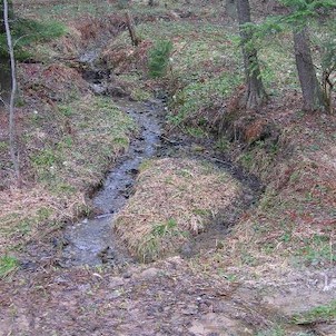 Potůček v lese