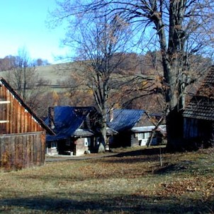 Dřevěnice na Hajdových pasekách