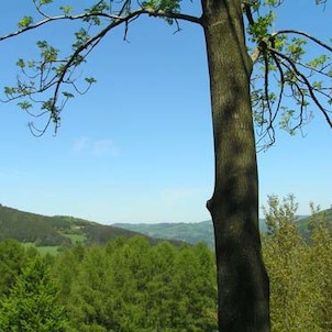 Jarní Filka a Tanečnice