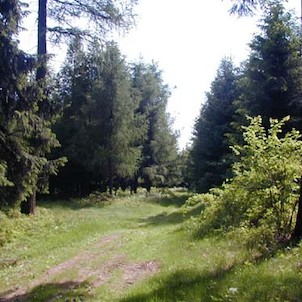 Skřidla