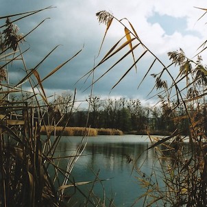 Zuberský rybník