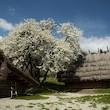 Archeoskanzen Modrá