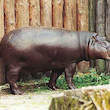 Zoo Spišská Nová Ves