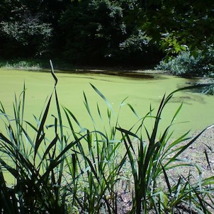 Žakýlske pleso