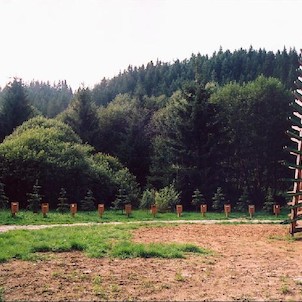 Lesnícky skanzen, Vstuplní expozice - lesy v EU