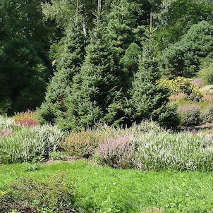 Arboretum Nový dvůr VIII/2006