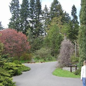 Arboretum - jaro