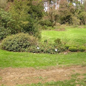 Arboretum - jaro