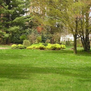 Arboretum - jaro