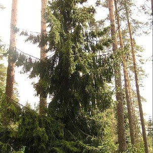 Arboretum - jaro