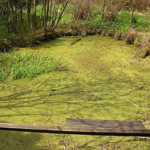 Arboretum - jaro