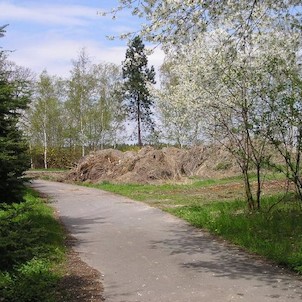 Arboretum - jaro