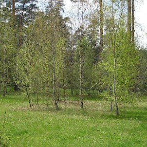 Arboretum - jaro