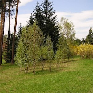 Arboretum - jaro