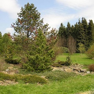 Arboretum - jaro