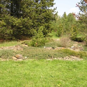 Arboretum - jaro