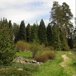 Arboretum - jaro