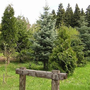 Arboretum - jaro
