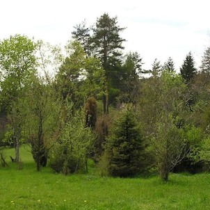 Arboretum - jaro