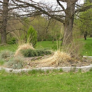 Arboretum - jaro