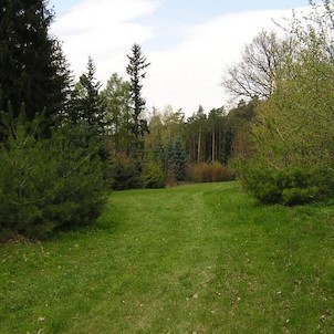 Arboretum - jaro