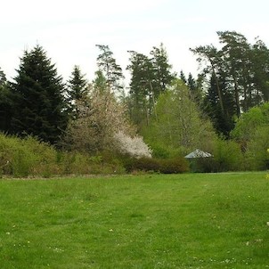 Arboretum - jaro