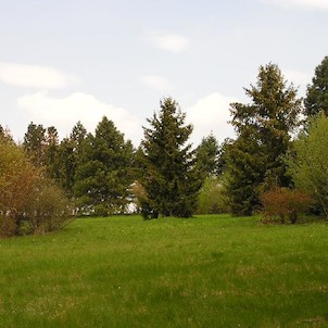 Arboretum - jaro